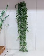 ریسه شمشاد برفی - تصویر 4