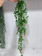 شمشاد گلدار