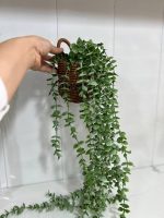 آویز گل حصیری - تصویر 2